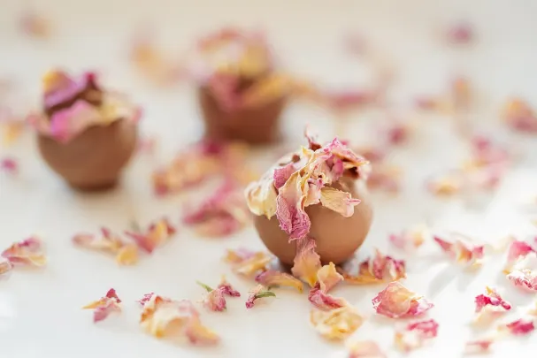 88Goals Kasino Android/iOS Sovellus